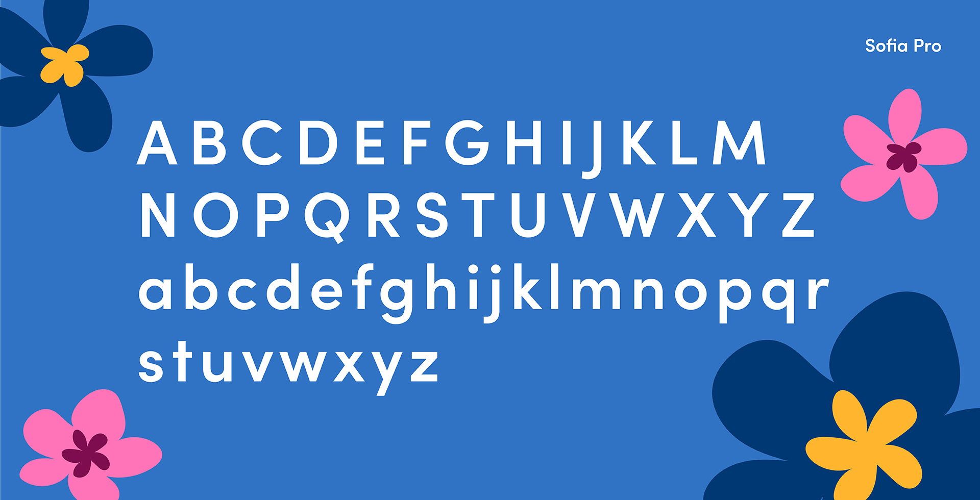 HCF Typography2 - web